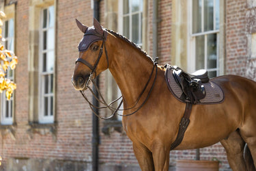 LeMieux Cocoa Heritage Fly Hood Cocoa| Online For Equine