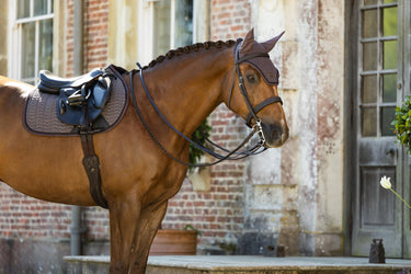 LeMieux Cocoa Heritage Fly Hood Cocoa| Online For Equine