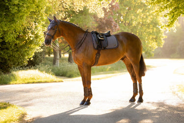 LeMieux Cocoa Heritage Herringbone Dressage Square Cocoa| Online For Equine