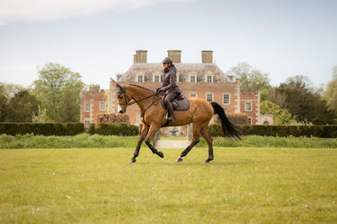 LeMieux Cocoa Heritage Herringbone Jump Square Cocoa| Online For Equine