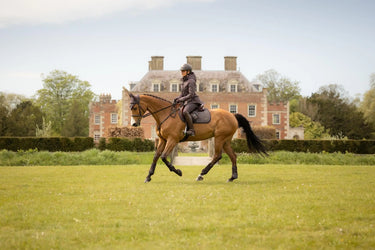 LeMieux Cocoa Heritage Herringbone Jump Square Cocoa| Online For Equine