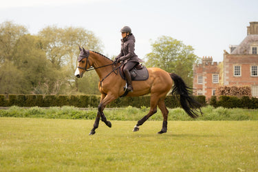 LeMieux Cocoa Heritage Herringbone Jump Square Cocoa| Online For Equine