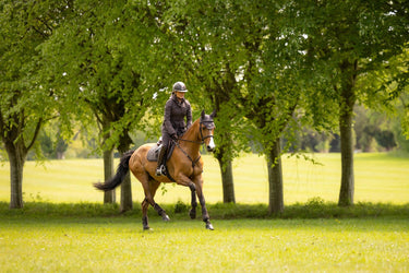 LeMieux Cocoa Heritage Herringbone Jump Square Cocoa| Online For Equine