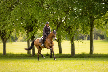 LeMieux Cocoa Heritage Herringbone Jump Square Cocoa| Online For Equine