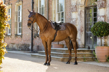 LeMieux Cocoa Heritage Herringbone Jump Square Cocoa| Online For Equine