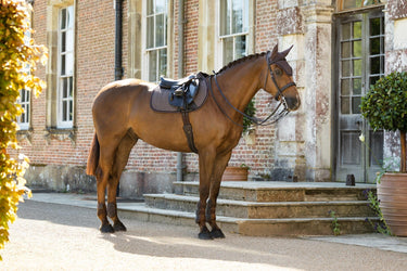 LeMieux Cocoa Heritage Herringbone Jump Square Cocoa| Online For Equine