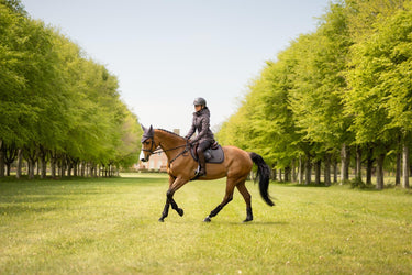 LeMieux Cocoa Heritage Herringbone Jump Square Cocoa| Online For Equine