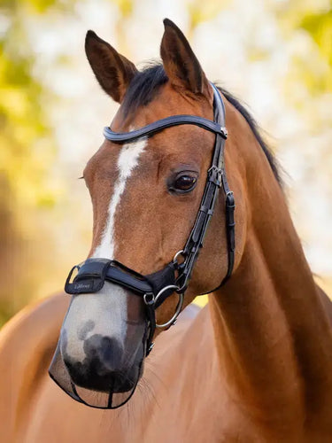 LeMieux Comfort Shield Drop Nose Filter 2pk Black| Online For Equine