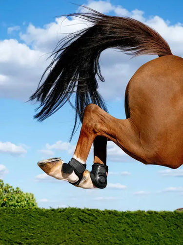 LeMieux Compliant Fetlock Boot Black| Online For Equine