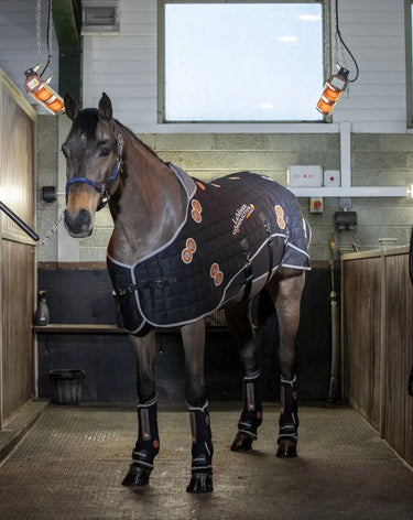 Buy LeMieux Conductive Magno Rug| Online for Equine