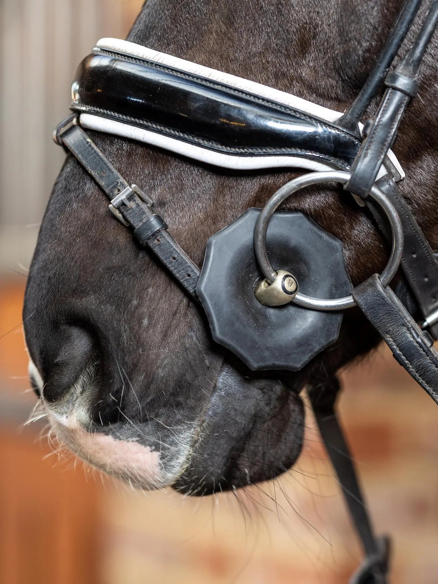 Bit Protector Buy LeMieux Contoured Rubber Bit Guards Black | Online for Equine ...
