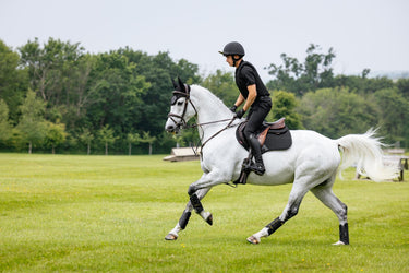 LeMieux Cotton Close Contact Square Black| Online For Equine