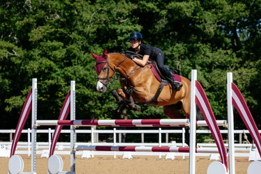 LeMieux Cotton Close Contact Square Burgundy| Online For Equine