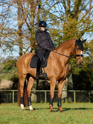 LeMieux Cotton Dressage Square Black| Online For Equine