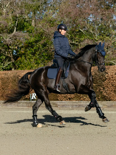 LeMieux Cotton Dressage Square Navy| Online For Equine