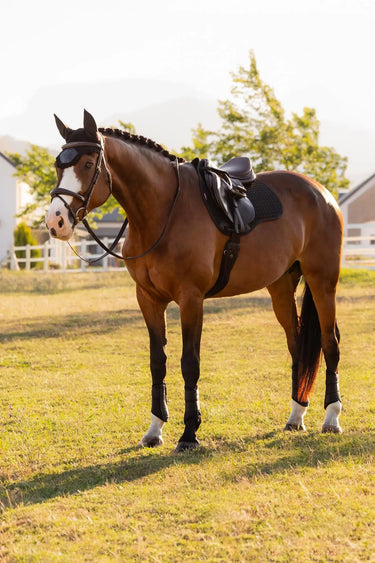 LeMieux Cotton GP Square Black| Online For Equine