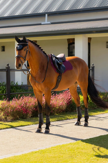 LeMieux Cotton GP Square Burgundy| Online For Equine