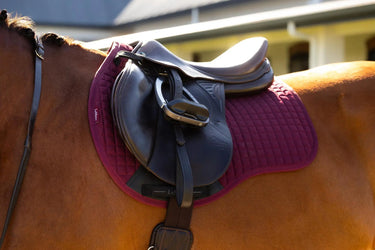 LeMieux Cotton GP Square Burgundy