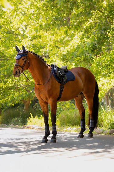 LeMieux Cotton GP Square Navy| Online For Equine