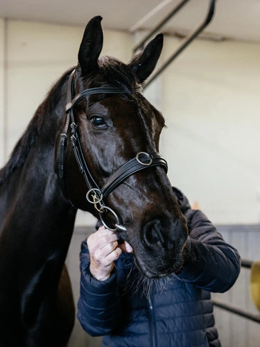 LeMieux Cross-functional Leather Cavesson Black| Online For Equine