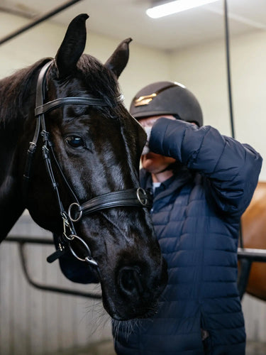 LeMieux Cross-functional Leather Cavesson Black| Online For Equine