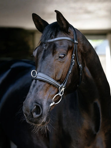 LeMieux Cross-functional Leather Cavesson Black| Online For Equine