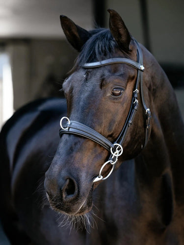 LeMieux Cross-functional Leather Cavesson Black| Online For Equine
