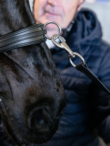 LeMieux Cross-functional Leather Cavesson Black| Online For Equine