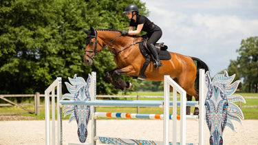 Buy Digby & Fox Bandana | Online for Equine