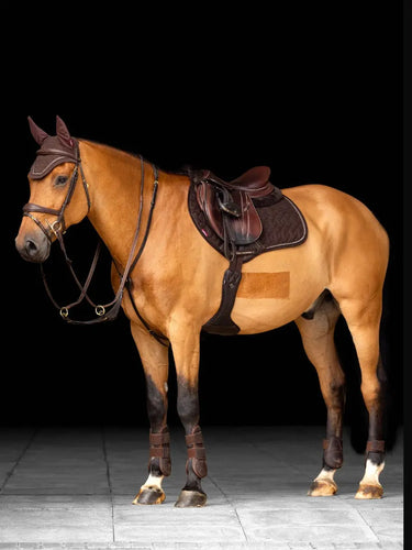 Buy Digby & Fox Bandana | Online for Equine