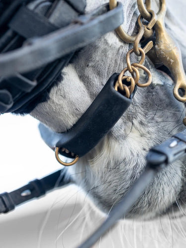 LeMieux Curb Chain Guard Black| Online For Equine