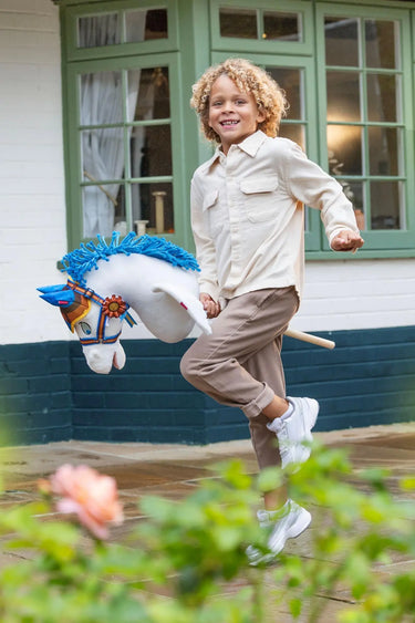 Buy LeMieux Disney Hobby Horse Pegasus | Online for Equine