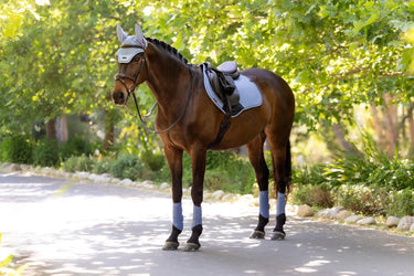LeMieux Essence Close Contact Square Powder Blue| Online For Equine
