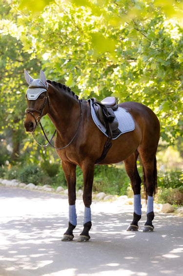 LeMieux Essence Close Contact Square Powder Blue| Online For Equine
