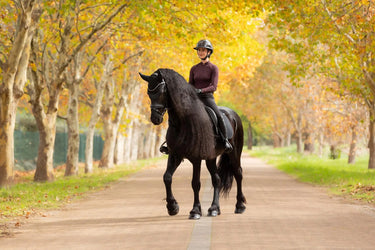 LeMieux Essence Dressage Square Black| Online For Equine
