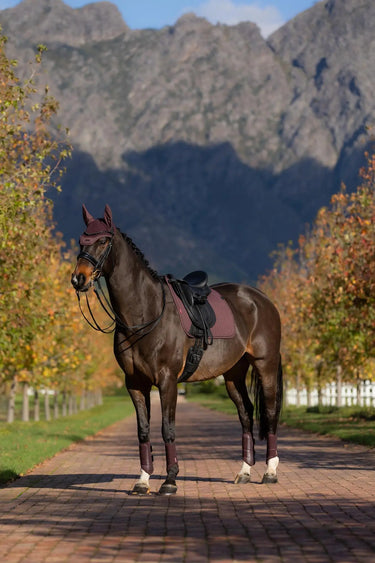 LeMieux Essence Dressage Square Damson| Online For Equine