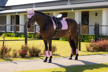 LeMieux Essence Dressage Square Fondant| Online For Equine