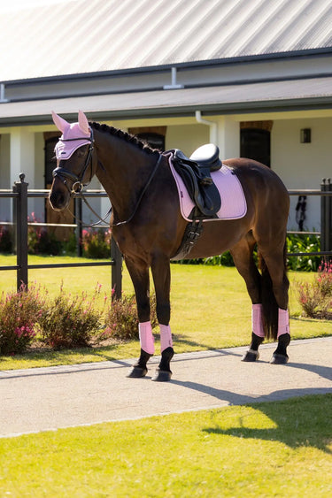 LeMieux Essence Dressage Square Fondant| Online For Equine