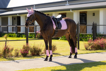 LeMieux Essence Dressage Square Fondant| Online For Equine