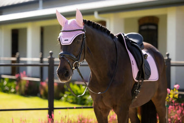 LeMieux Essence Dressage Square Fondant| Online For Equine