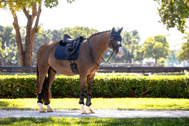 LeMieux Essence Dressage Square Navy| Online For Equine