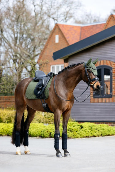 LeMieux Essence Dressage Square Pine Green| Online For Equine