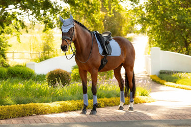 LeMieux Essence Dressage Square Powder Blue| Online For Equine
