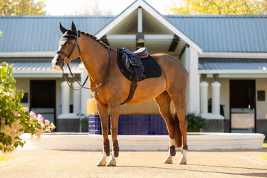 LeMieux Essence Eurojump Square Black| Online For Equine