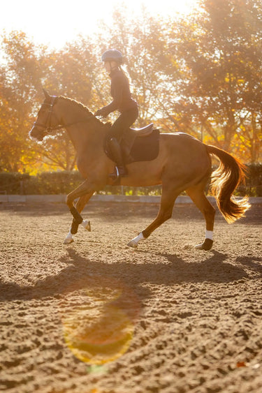 LeMieux Essence Eurojump Square Black| Online For Equine