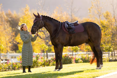 LeMieux Essence Eurojump Square Damson| Online For Equine