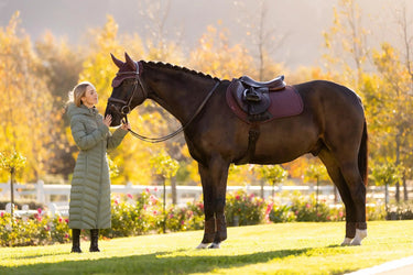 LeMieux Essence Eurojump Square Damson| Online For Equine