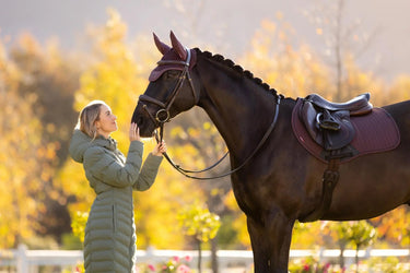 LeMieux Essence Eurojump Square Damson| Online For Equine