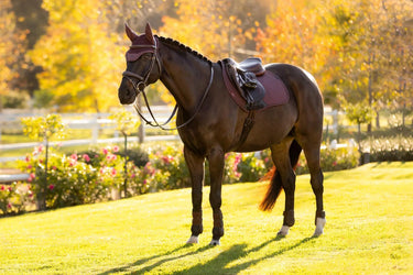 LeMieux Essence Eurojump Square Damson| Online For Equine