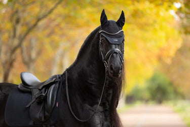 LeMieux Essence Fly Hood Black| Online For Equine